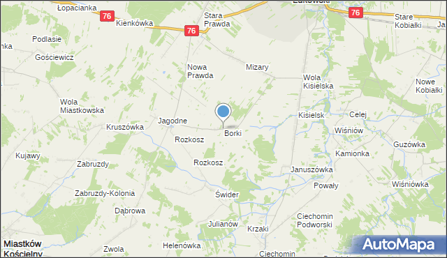 mapa Borki, Borki gmina Stoczek Łukowski na mapie Targeo